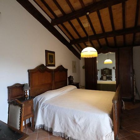 La Casetta Dei Gelsi Civitella dʼAgliano 外观 照片